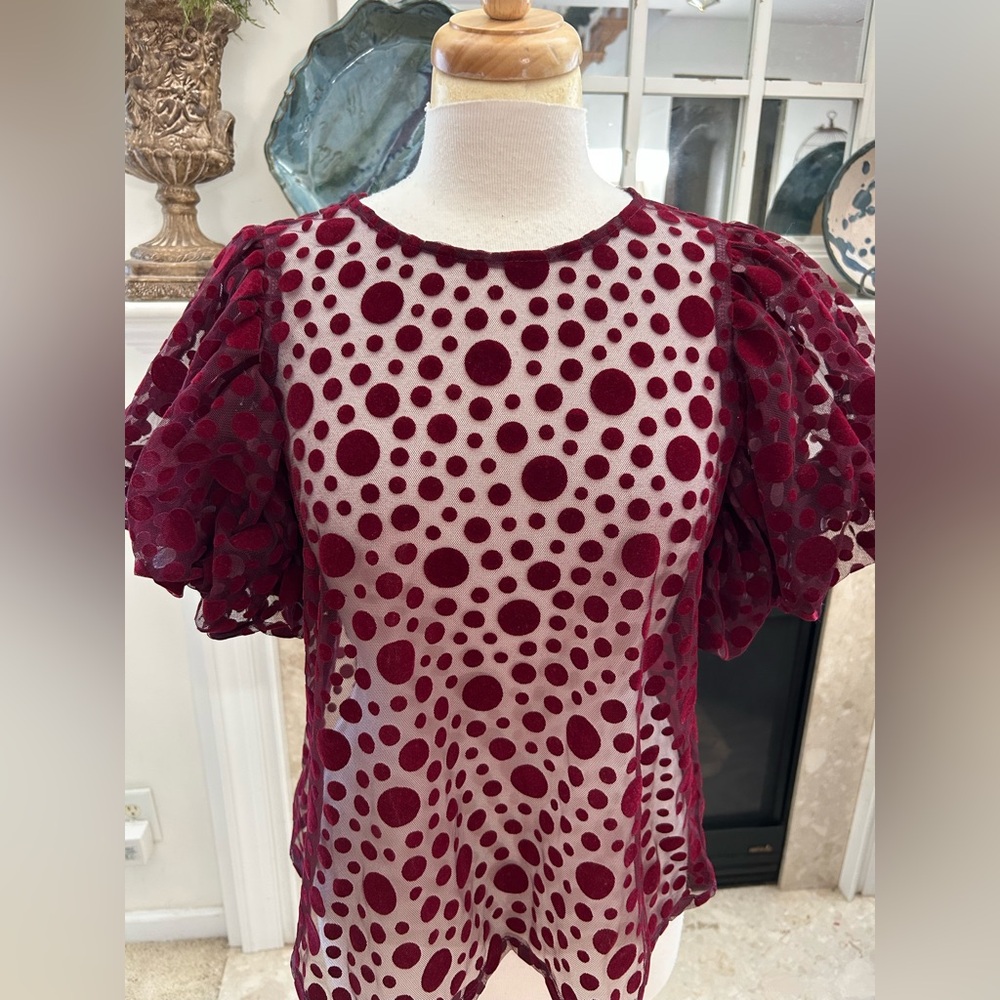 Haute Monde Burgundy Puff Sleeve Sheer Top - Picture 3 of 8